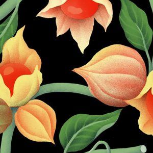 Meet your Posher Louis